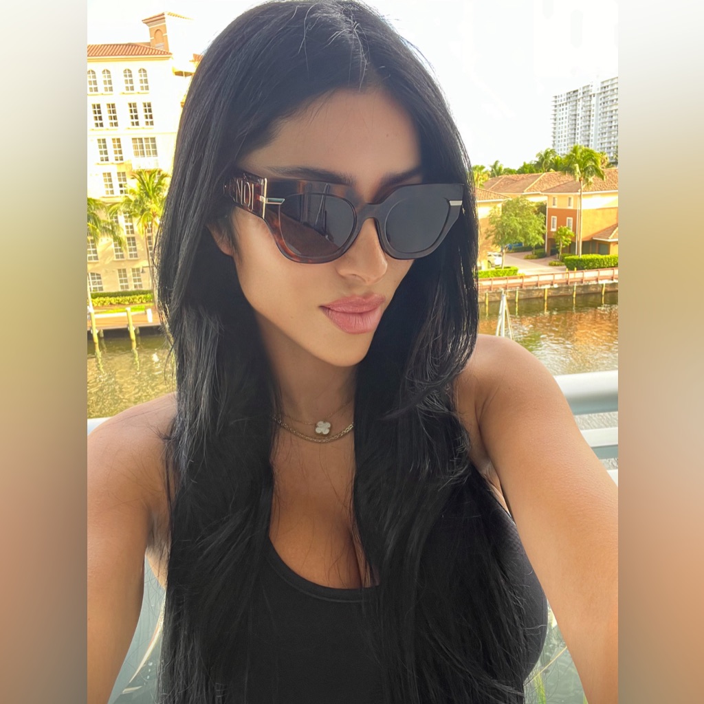 Fendi Sunglasses Brown